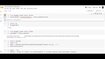 CS Project Grade 10 | A CNN to classify images of dogs and cats