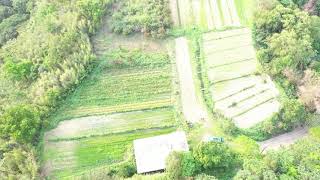 三灣景觀休閒美地*-*視野超美、土地平坦、露營休閒最佳地點 @ 露營 @ 農場 @