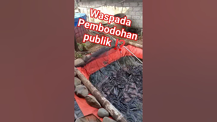 Carinya untung malah akhirnya buntung😂