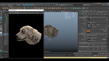 maya XGen shading. colour apply on fur. xGenCore