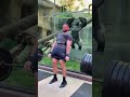 Gym Motivation: Training with a Silverback Fan
