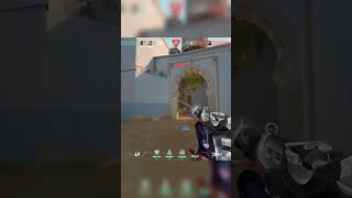 Pro Immortal player #3