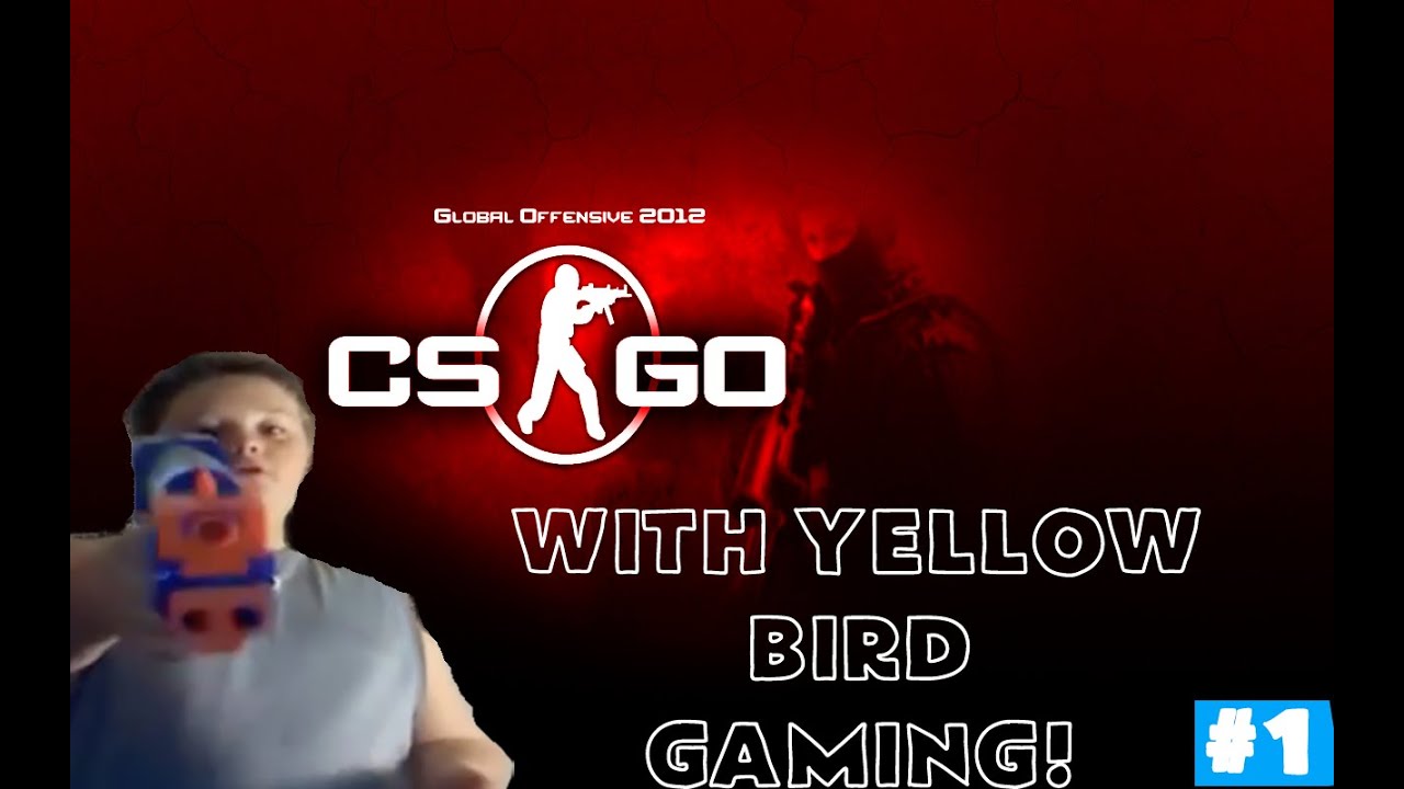 CSGO! W/ Yellow Bird Gaming! WE SUCK AT THIS - YouTube