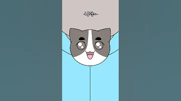 고양이 보셨나요 