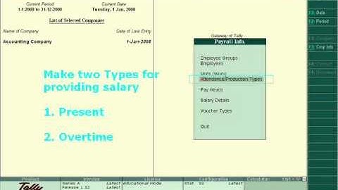 Payroll Accounting in Tally - Part 2