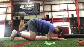 Quadruped Hip Extension Progressions