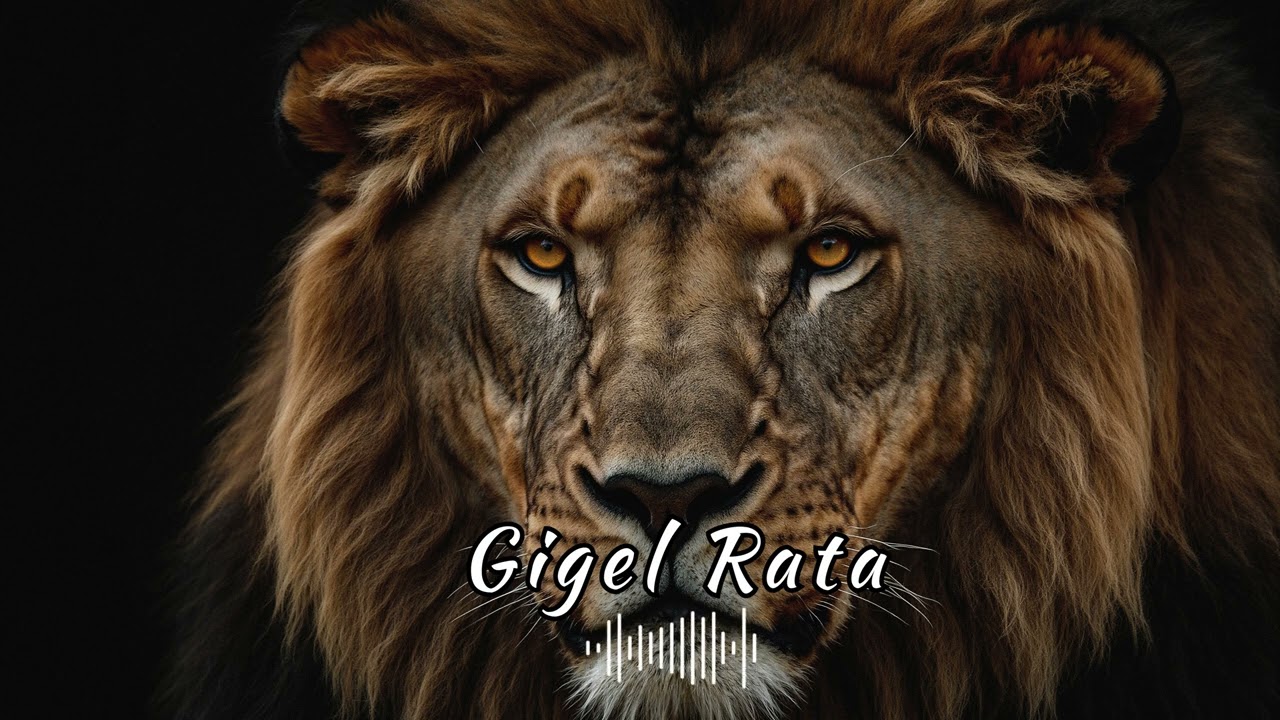 Atitudine De Rege – Gigel Rata _  Banii, Respect și Drumurile Pline de Succes