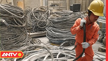 Đối Tượng Cải Trang Công Nhân Điện Lực Trộm Dây Cáp Điện Để Bán Lấy Tiền | Nhận Diện Tội Phạm | ANTV