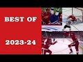 Detroit red wings 202324 season highlights