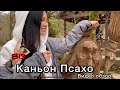 В гостях у Жука. Сочи. День 2