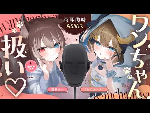 【KU100┆ASMR】🦴両耳同時ASMR💟ふたりでワンちゃん扱い🐶💟🦴【くもの上ユメミ/蓮希るい】#るいめみん video thumb