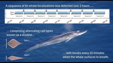 Distributed Acoustic Sensing on the OOI’s Regional Cabled Array - Tracking fin whales in Oregon