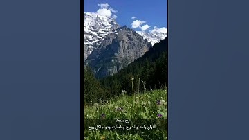 #ايات_القران_الكريم  فلا اقسم برب المشارق والمغارب بصوت جميل القارئ وليد الفلوجي