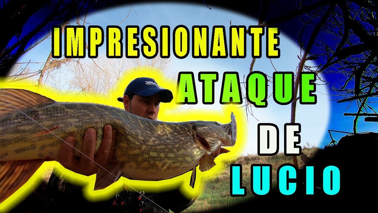 ⚠️Impresionante ataque de LUCIO⚠️👉 