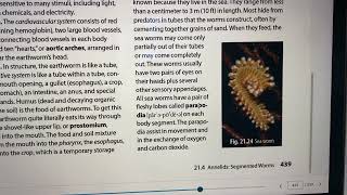 Biology 21,4 Annelids, Segmented Worms