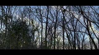 Blue Hair - Tv Girl (Fanmade )