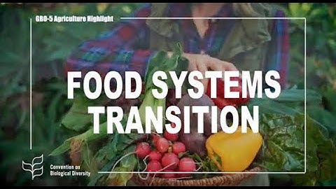 Global Biodiversity Outlook 5: Food Systems Transition