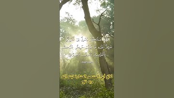 لقد جاءكم رسول من أنفسكم عزيز عليه ما عنتم حريص عليكم بالمؤمنين رءوف رحيم_ سورة التوبة الآية 128_129
