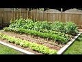 ¿Cómo construir un huerto? / Tips de Leafar Palacios
