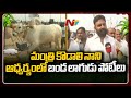 Hosting bull races in Gudivada for the last 20 years: Kodali Nani
