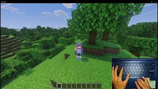 InputPermission Plugin PocketMine-MP (Block WASD, Jump, Sneak, Camera Movement)