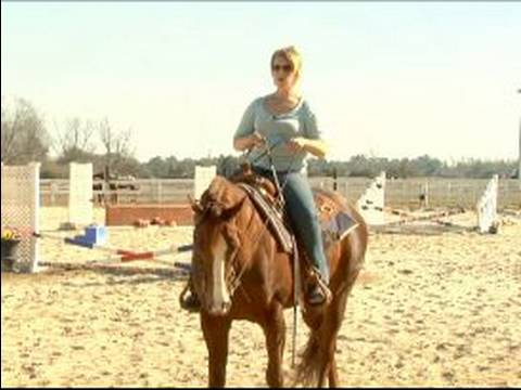 How to Exercise Your Horse : How Teach a Horse to ...