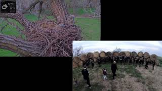 Bethel College Choir Sings To The Great Horned Owls