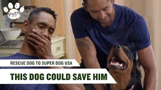 Ex-Marine Finds PTSD Sufferer the Perfect Dog Rescue Dog to Super Dog USA S1 E1 Pets Up Close