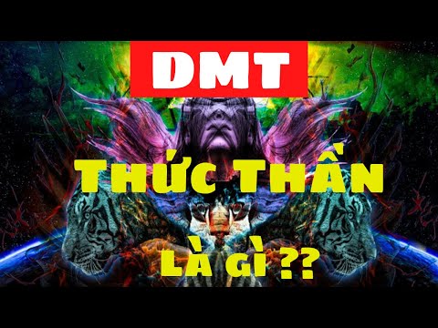 Video: Bạn có thể hút thực vật có chứa DMT không?