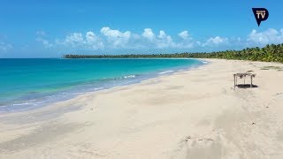 Globe-Trotters: Punta Cana (Palladium TV English)