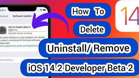 Uninstall Or Remove iOS 14.2 Developer Beta 2 on iPhone & iPad ( Remove Public Beta Profile )