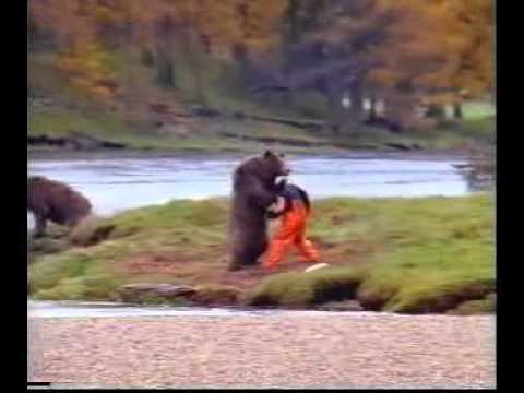 чел дерётся с медведем.mpg чел дерётся с медведем.mpg