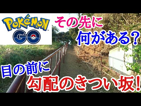 近くて遠い？勾配のきつい坂の上にポケモンがいるなんて、聞いてないよ～‼