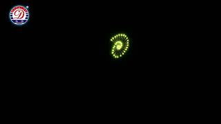 D -D1119 Display Shell Green Snail Pattern #fireworks