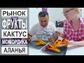 Турция: Пробуем кактус. Момордика. Цены на фрукты в июле в Аланье