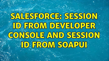 Salesforce: Session Id from Developer console and session Id from SOAPUI
