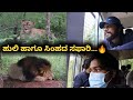 Lion and Tiger Safari in Shivamogga | Kannada Vlogs | Likhith Shetty Vlogs |