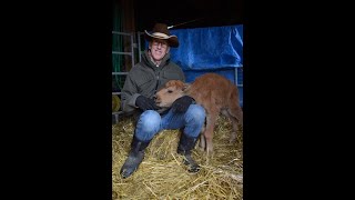 Cowboy Singer Songwriter Rancher Horseman Tv Commercial Star Wylie Gustafson