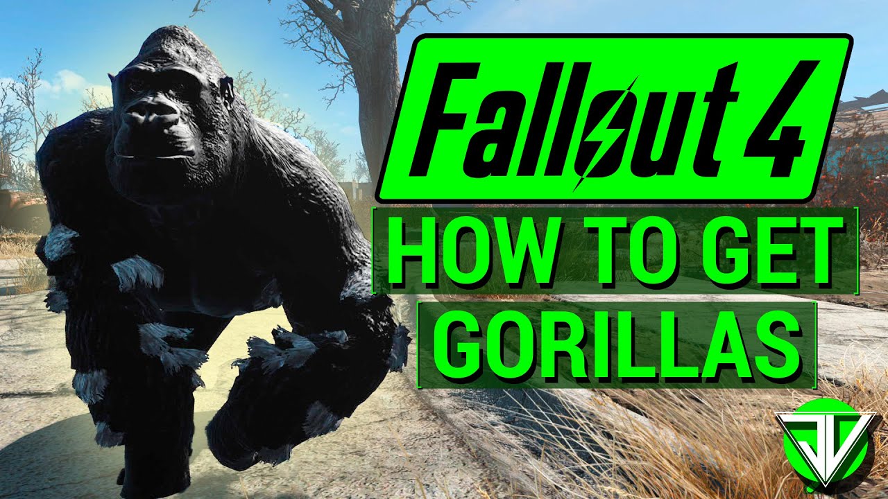 How Do You Get A Gorilla In Fallout 4?