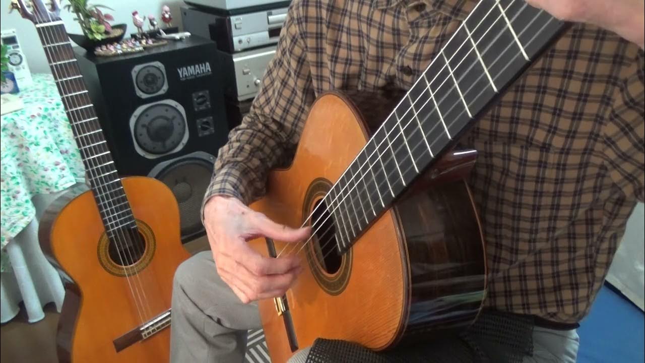 Matteo Carcassi Op.1011 Valse/Waltz 