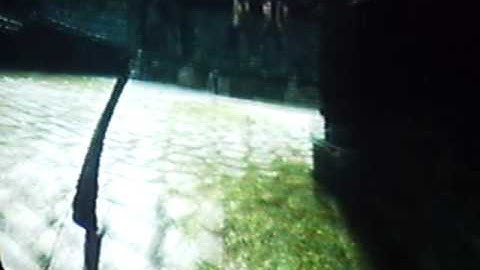 Invisible arrow,skyrim