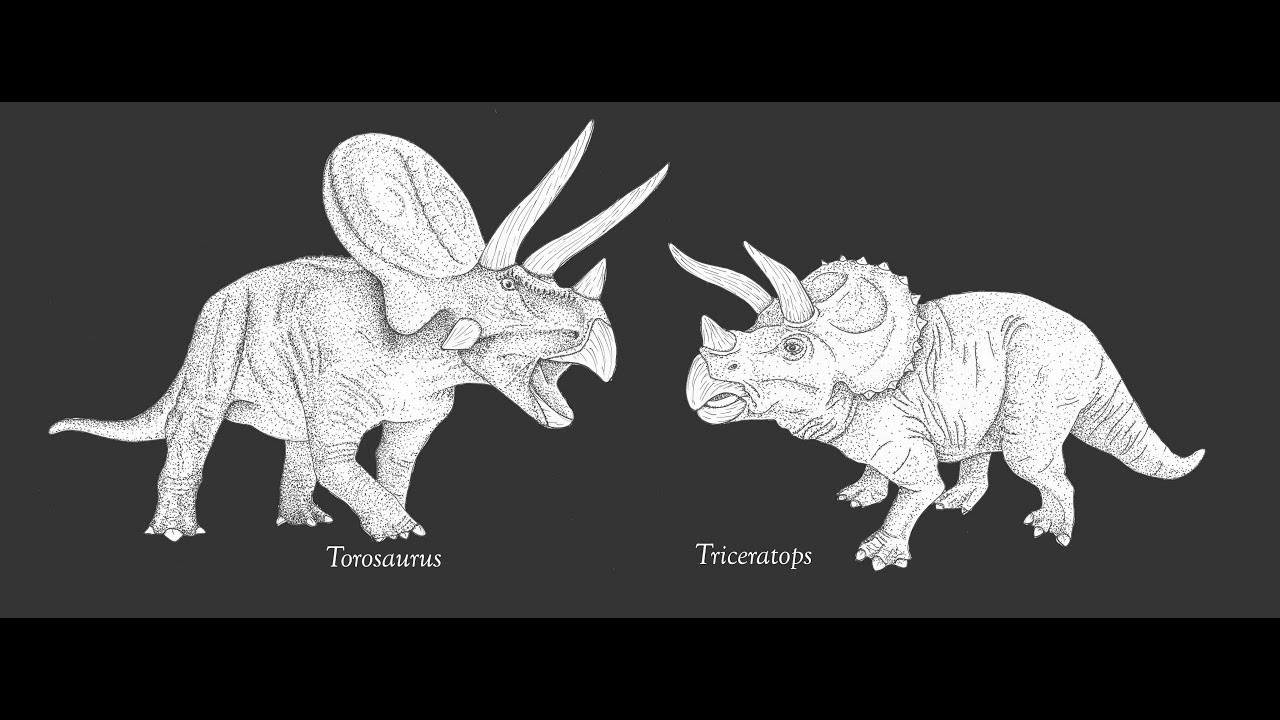 Трицератопс и Торозавр