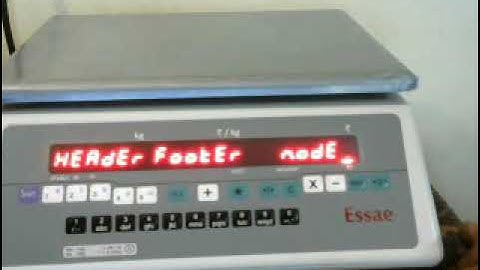Essae Ds252 Printer scale   Plu Program