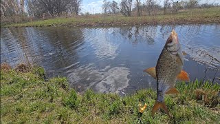 Friedfisch angeln am Kanal einfach entspannt angeln und weiter testen 
