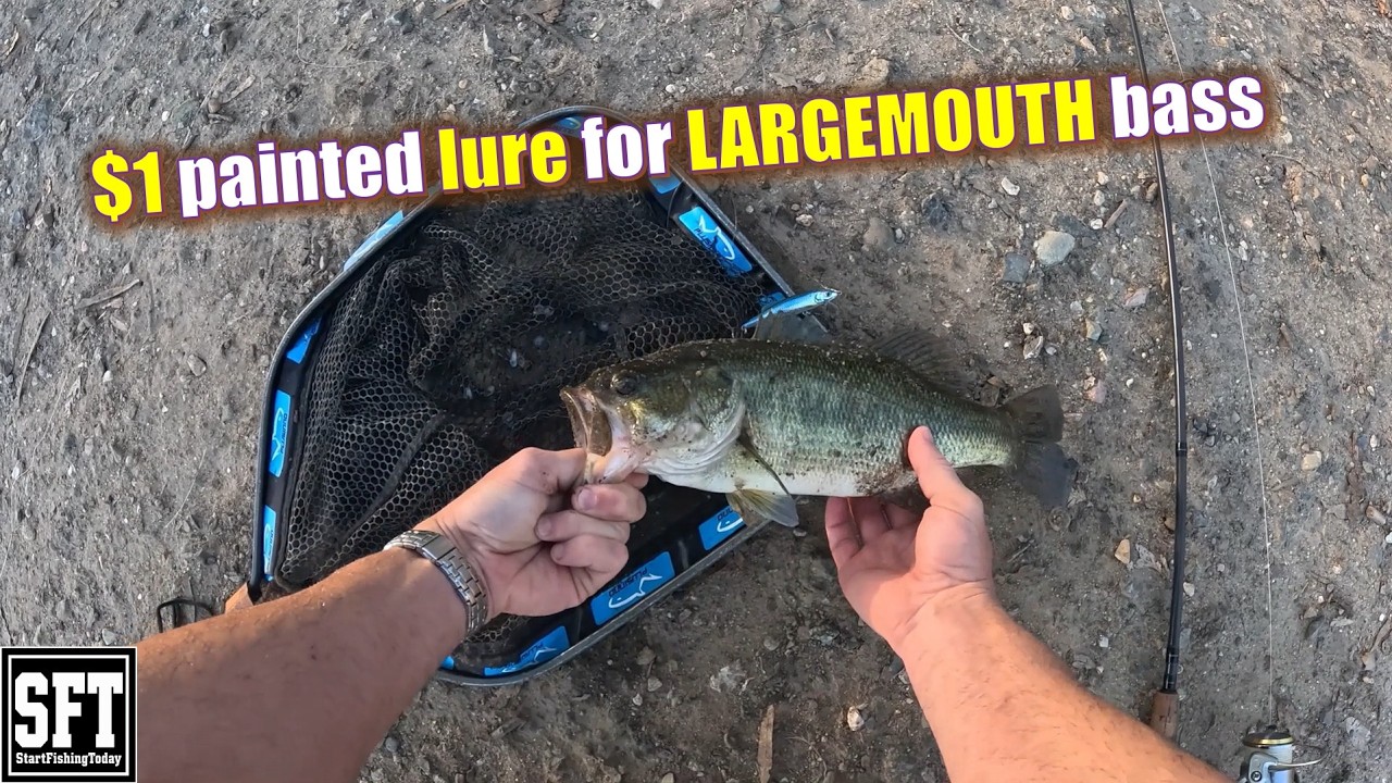 Another AMAZON special – $1 painted lure for LARGEMOUTH bass