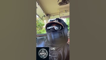 Get ANY Car Loan Approved! (Westlake Finance Hack)