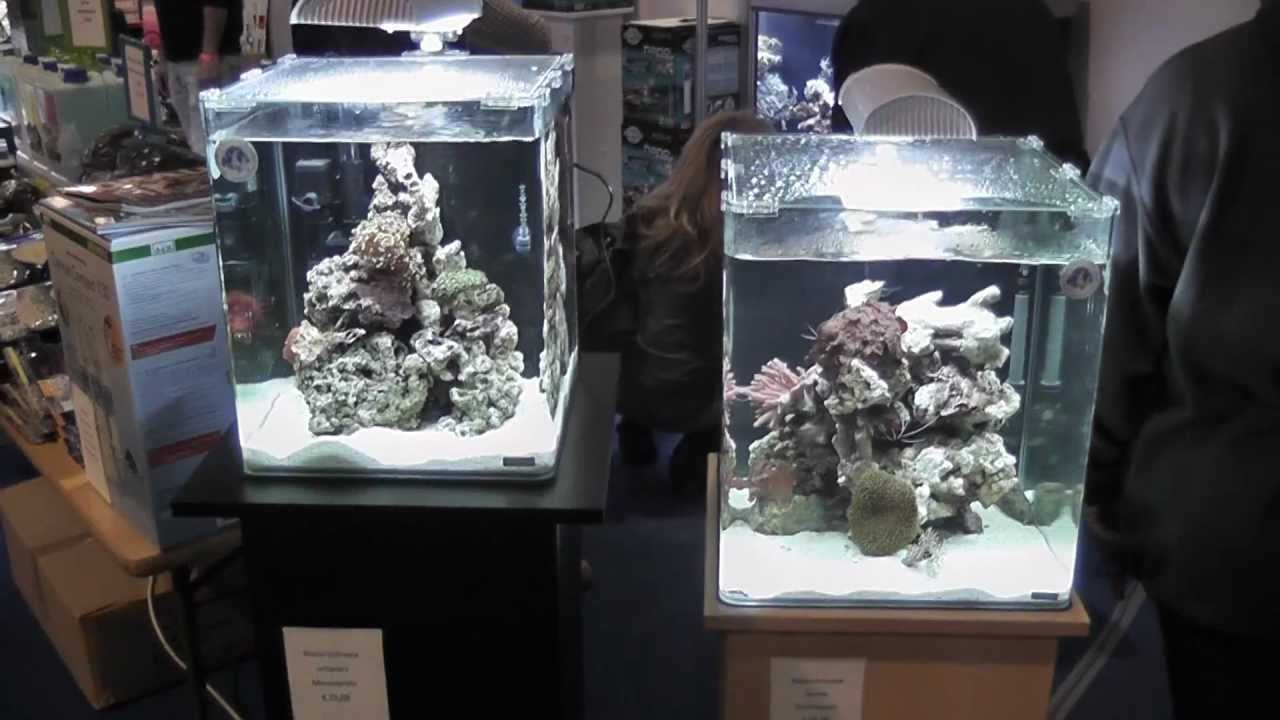 nano cube marinus 30l vs 60l youtube