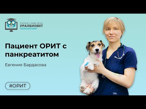 Пациент ОРИТ с панкреатитом, лектор Бардасова Евгения Алексеевна