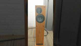 ProAc Response D20R Floorstanding Speakers - Take 2
