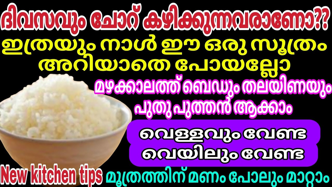 വെള്ളവും വേണ്ട വെയിലും വേണ്ട വീട് പുതുപുത്തൻ ആക്കാം | Kitchen Tips